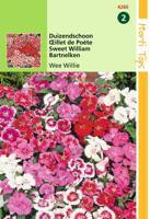 Zaden Dianthus Duizendschoon Wee Willie gemengd Hortitops - Hortitops