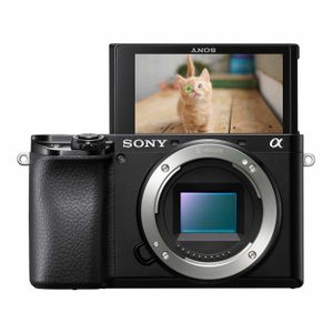 Sony α 6100 + 16-50mm SLR camerakit 24,2 MP CMOS 6000 x 40000 Pixels Zwart
