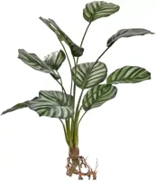 Pure Royal kunstplant calathea 50cm wit, groen
