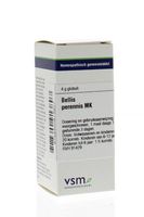 Bellis perennis MK