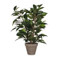 Decoratieve plant Mica Decorations 40 x 30 cm Keramisch Groen PVC Vijgen Decoratieve plant Mica Decorations 40 x 30 cm Keramisch Groen PVC Vijgen