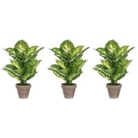 Kunstplant Dieffenbachia - Voordeelset van 4x stuks - groen - 40 cm - in pot - nepplant - kamerplant