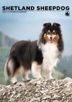 Shetland Sheepdog A3 Kalender 2026