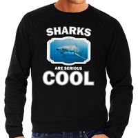 Sweater sharks are serious cool zwart heren - haaien/ haai trui - thumbnail