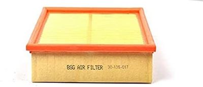 Luchtfilter BSG30135017