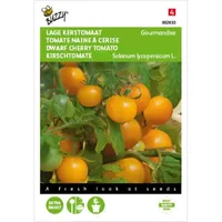 Tomaat Gourmandise (gele cherry patio) Tomaat Gourmandise (gele cherry patio)