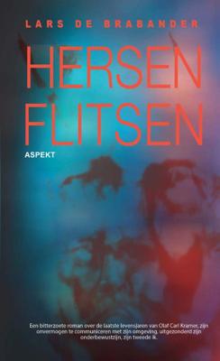 Hersenflitsen (Paperback)