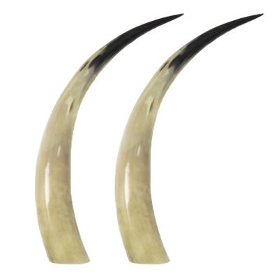 Mars & More Koehoorn - 2x - decoratie - beige - 45 cm - natuurlijk materiaal - voor binnen - uniek n