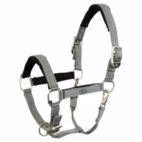 BR Eevolv Halster Idylle lichtgroen maat:pony