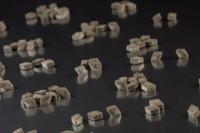 Meenk Gloria's 5 Kilogram