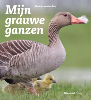 Mijn grauwe ganzen (Paperback)