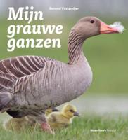 Mijn grauwe ganzen (Paperback)