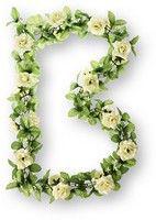 Basil Roses Flower Garland bloemenstreng wit