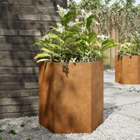 VidaXL Plantenbakken 2 st zeshoek 46x40x45 cm weervast staal