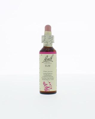 Bach Elm/iep