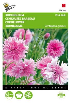 Centaurea cyanus Pink Ball Tuinplus - Buzzy