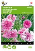 Centaurea cyanus Pink Ball Tuinplus - Buzzy