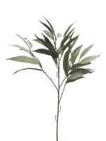 Mango lvs spray dusty green 76cm