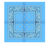 Boerenzakdoek Rain drop 54x54 - Rode zakdoek