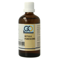 Betula pubescens bio 100 Milliliter