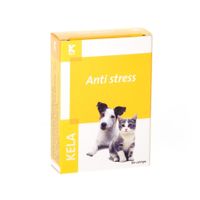 Anti Stress 60 Tabletten