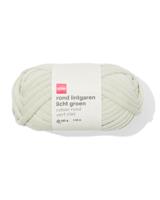 HEMA Rond lintgaren 100g 45m lichtgroen