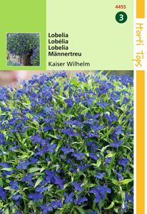 Lobelia Erinus Comp. Kaiser Wilhelm - Hortitops