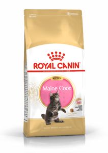 Royal Canin Maine Coon Kitten droogvoer voor kat 4 kg Katje Gevogelte, Rijst
