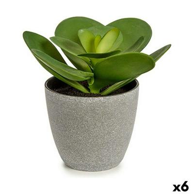 Decoratieve plant Ibergarden Plastic 18 x 18,5 x 18 cm (6 Stuks)