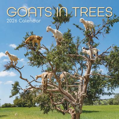 Goats in Trees Kalender 2026