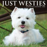West Highland White Terrier Kalender 2026