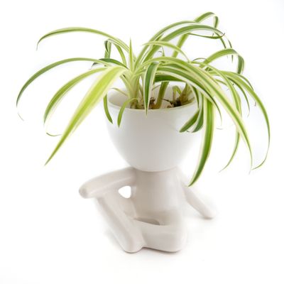 Bloempot Mannetje Chillend Wit Bloempot Mannetje Chillend Wit