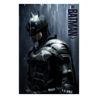 DC Comics Poster Pack Batman Downpour 61 X 91 Cm (4)