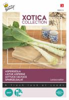 Xotica Palmboom sla - Aspergesla - Buzzy
