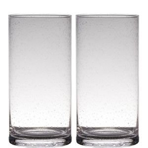 Set van 2x stuks transparante home-basics cylinder vorm vaas/vazen van bubbel glas 30 x 15 cm - Vazen