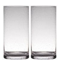 Set van 2x stuks transparante home-basics cylinder vorm vaas/vazen van bubbel glas 30 x 15 cm - Vazen