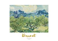 Kunstdruk Vincent Van Gogh - Landscapes with olive trees 70x50cm