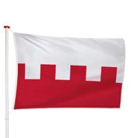 Vlag Rhenen