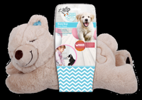 Afp Little Buddy Warm Bear