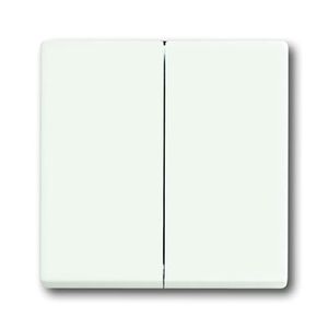 Busch-Jaeger bedieningswip 1785-884 studiowit mat