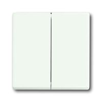 Busch-Jaeger bedieningswip 1785-884 studiowit mat