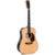 Sigma Guitars DT-41 westerngitaar met gig bag
