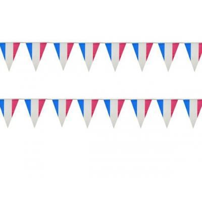 Vlaggenlijn - Frankrijk - blauw/wit/rood - kunststof - 10 meter - Landen Feestversiering