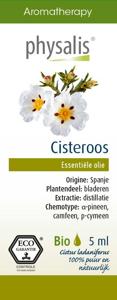 Physalis Cisteroos bio