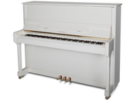 Feurich 122 - Universal PWH messing piano