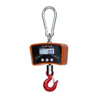 Kraanweegschaal - 300kg / 0,1kg - LCD - digitaal - veiligheidshaak