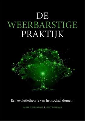 De weerbarstige praktijk (Paperback)