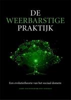 De weerbarstige praktijk (Paperback)