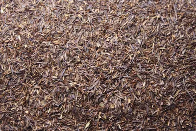 Vanille
 -
 Rooibos thee