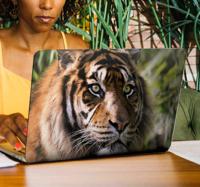 Laptop sticker tijger - thumbnail